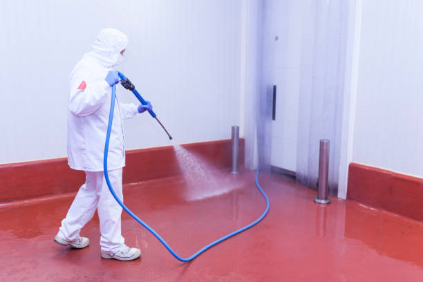 Paint Preparation in Lake Shore, MN